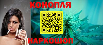 крисы Кудымкар