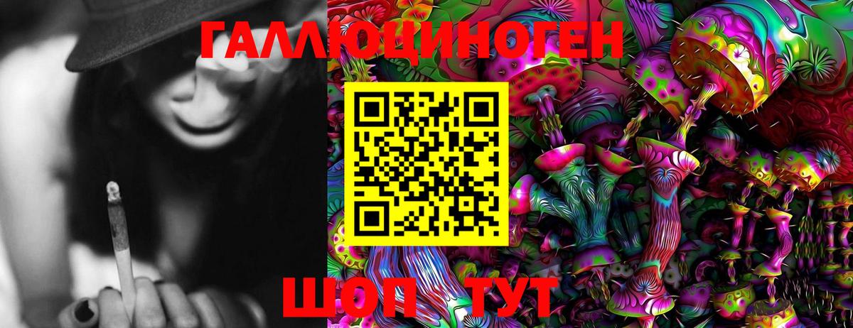 Галлюциногенные грибы Psilocybe Златоуст