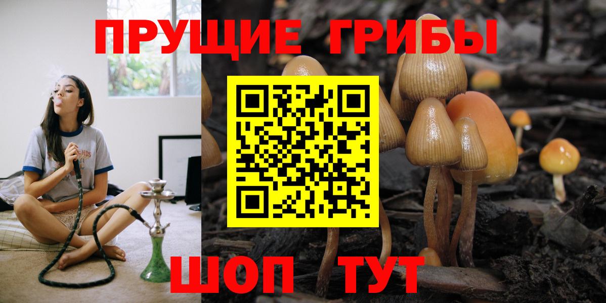 купить наркотик  Галлюциногенные грибы ЛСД  Златоуст  Вход с VPN  Галлюциногенные грибы мухоморы 